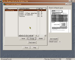 Video Rental Software Layout Manager